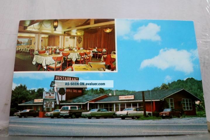 Tennessee TN Apple Tree Inn Restaurant Pigeon Forge Postcard Old ...